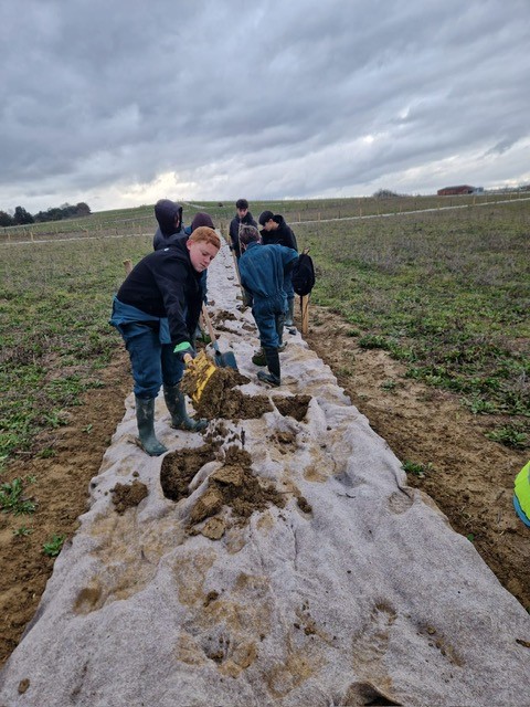 Participation des élèves de quatrième du LEAP Campus La Rouatière au Plantathon.